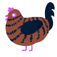 brownie, a russet and tumblr chicken with a bar pattern