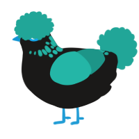 The Firstborn, a sable and turquoise chicken with a neck-speckle pattern