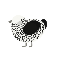 (unnamed), a white and black chicken with a lace pattern