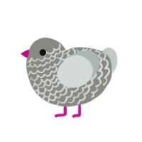 (unnamed), a ash and silver chicken with a lace pattern