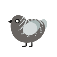 (unnamed), a grey and silver chicken with a half-bar pattern