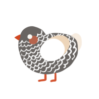 Finch, a grey and cream chicken with a lace pattern