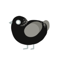 (unnamed), a black and ash chicken with a neck-band pattern