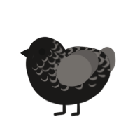 Blackhole, a sable and grey chicken with a half-lace pattern