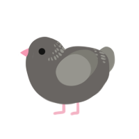 (unnamed), a grey and ash chicken with a neck-band pattern