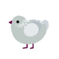 Dione, a silver and mist chicken with a neck-speckle pattern