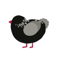 (unnamed), a black and ash chicken with a neck-speckle pattern