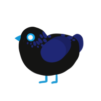 (unnamed), a black and navy chicken with a neck-speckle pattern