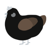 Licorice, a black and bark chicken