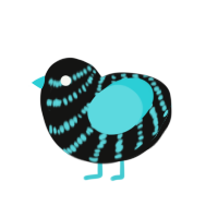 Blanc Blueberry, a black and aqua chicken with a bar pattern