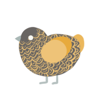 (unnamed), a grey and honey chicken with a double-lace pattern