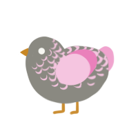 Chip, a ash and pink chicken with a half-lace pattern