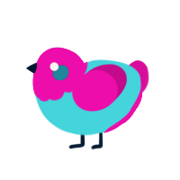 Vibes, a aqua and fuchsia chicken with a head pattern