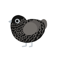 (unnamed), a black and grey chicken with a lace pattern