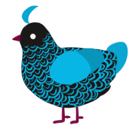 not again, a sable and cerulean chicken with a double-lace pattern