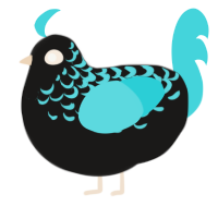 (unnamed), a sable and aqua chicken with a half-lace pattern