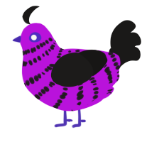 Scene of crime, a amethyst and sable chicken with a bar pattern