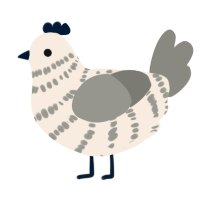 blueberry cream, a cream and ash chicken with a bar pattern