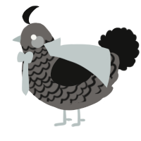 Polite Lil Gentleman, a grey and black chicken with a lace pattern