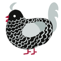 composition, a black and silver chicken with a lace pattern