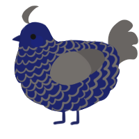 Lilith, a navy and grey chicken with a lace pattern