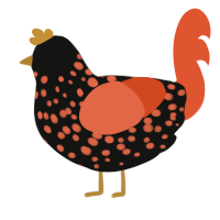 Pumpkin Spice Latte, a black and vermilion chicken with a speckle pattern