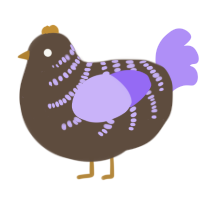 glaring kiwi, a bark and lilac chicken with a half-bar pattern