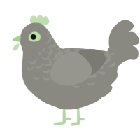 double decker cluck, a ash chicken with a half-lace pattern