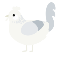 Rokyr, a white chicken with a neck-speckle pattern