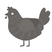 Concrete, a grey chicken with a bar pattern