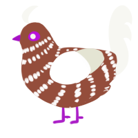 White Choco, a russet and white chicken with a bar pattern