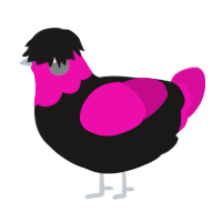 Hot Pink Emo, a sable and fuchsia chicken with a head pattern