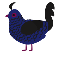 Morgana, a navy and sable chicken with a lace pattern