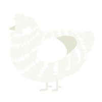 Shiro Muji, a white chicken with a bar pattern