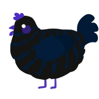 (unnamed), a black and tumblr chicken with a bar pattern