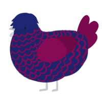 night time waters, a navy and wine chicken with a lace pattern