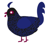 Shadow Boysenberry, a sable and navy chicken with a double-lace pattern