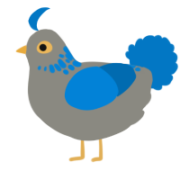 (unnamed), a ash and sapphire chicken with a neck-speckle pattern