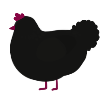 (unnamed), a black chicken with a neck-speckle pattern