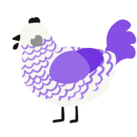 Bun, a white and blurple chicken with a lace pattern