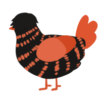 vermm, a sable and vermilion chicken with a bar pattern