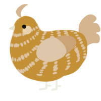 (unnamed), a gold and beige chicken with a bar pattern