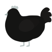 (unnamed), a black and sable chicken