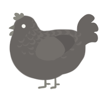 Cement, a grey chicken with a half-lace pattern