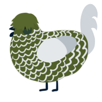 Frozen Pea, a olive and mist chicken with a lace pattern