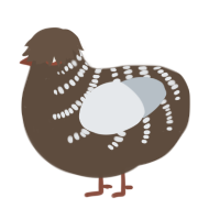 (unnamed), a bark and mist chicken with a half-bar pattern