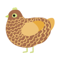 Russ, a brown and honey chicken with a lace pattern