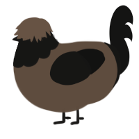 Hawkeye Pierce, a bark and black chicken with a head pattern