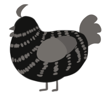 (unnamed), a black and grey chicken with a bar pattern