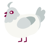 UNFORSEEN, a white and silver chicken with a head pattern